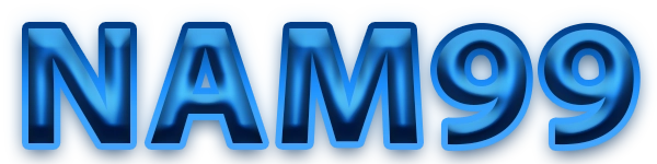 NAM99 Logo